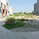 Bán lô đất góc 42m2 Nhơn Phú Quy Nhơn 1.5 tỷ - Ảnh thu nhỏ 2