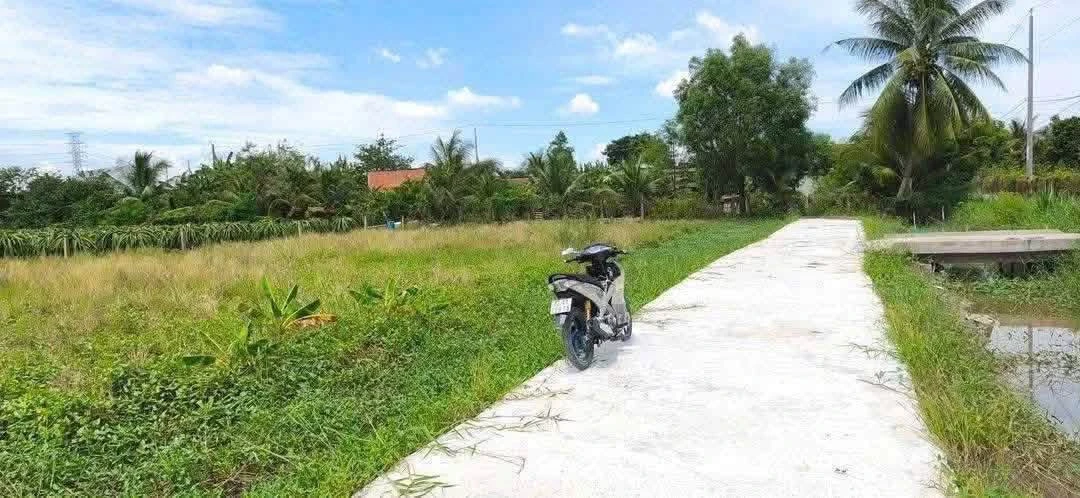 Bán đất thổ cư 5x29m (145m²) An Lục, Châu Thành, Long An - Ảnh 1