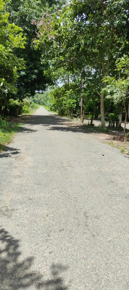Bán 2 hectare đất cao su Nha Bích Chơn Thành tặng nhà - Ảnh thu nhỏ 4
