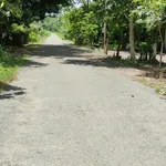 Bán 2 hectare đất cao su Nha Bích Chơn Thành tặng nhà - Ảnh thu nhỏ 4