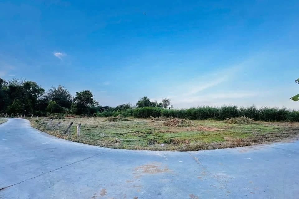 Bán đất cây trồng 1000m2 thôn 2 xã Hàm Liêm, Lâm Đồng giá 420 triệu - Ảnh thu nhỏ 4