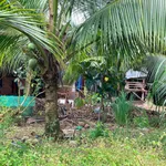 Bán đất vườn sầu riêng, dừa xiem 11.539 m² Đồng Nai - Ảnh thu nhỏ 1