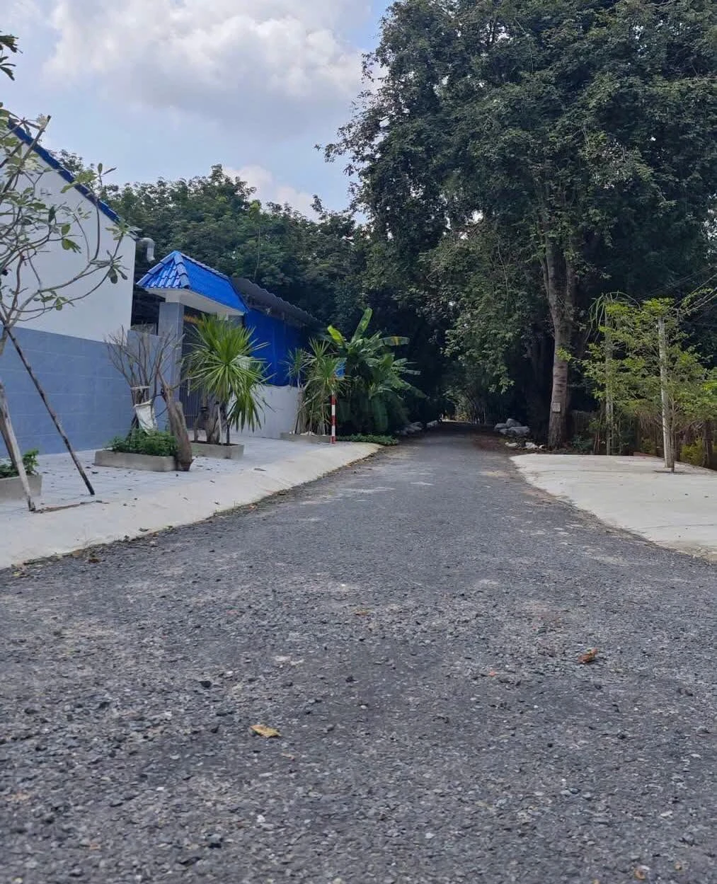 Bán đất 500m² giá 280 triệu, nở hậu, view Núi Bà tại Phường Bình Minh, Tây Ninh - Ảnh 1