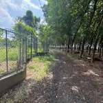 Bán đất sầu riêng Thái gần 1ha Đồng Phú Bình Phước - Ảnh thu nhỏ 2