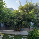 Bán nhà vườn 905m² Tân Bửu, Bến Lức, Tây Ninh 12 tỷ - Ảnh thu nhỏ 5