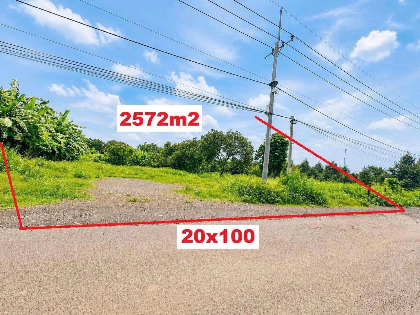 Bán đất 2.572m² tại xã Dầu Giây, Đồng Nai - Ảnh 1