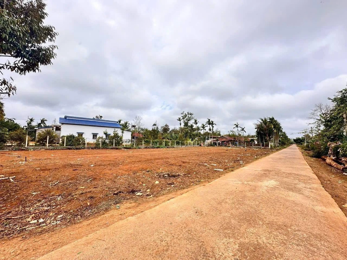 Bán đất 200m² Cư Kuin Bình Dương 899 triệu - Ảnh thu nhỏ 3