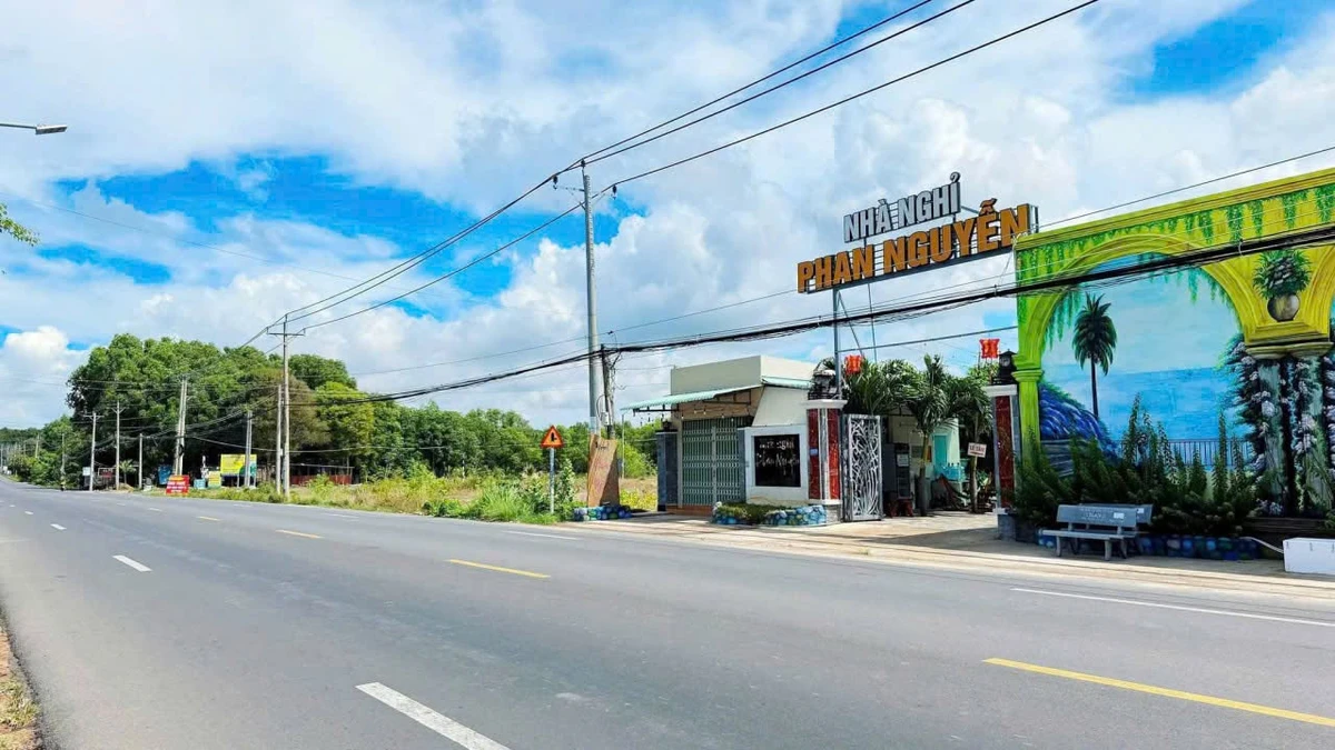 Bán đất mặt tiền biển 550m2 Phước Hội Bà Rịa - Vũng Tàu - Ảnh thu nhỏ 5