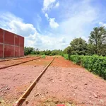 Bán đất Long Khánh mặt tiền 1 tỷ 350, 160m2 - Ảnh thu nhỏ 2