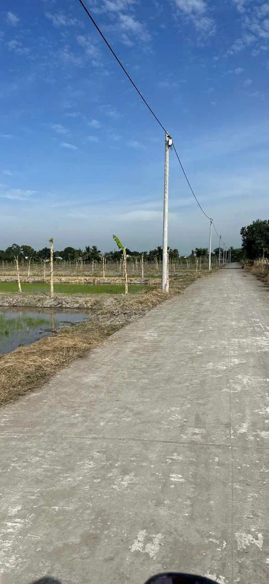 Bán 2081m2 đất Nhánh Kênh 5, Thạnh Lộc, An Giang - Ảnh 1