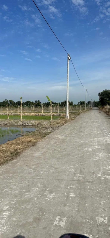 Bán 2081m2 đất Nhánh Kênh 5, Thạnh Lộc, An Giang