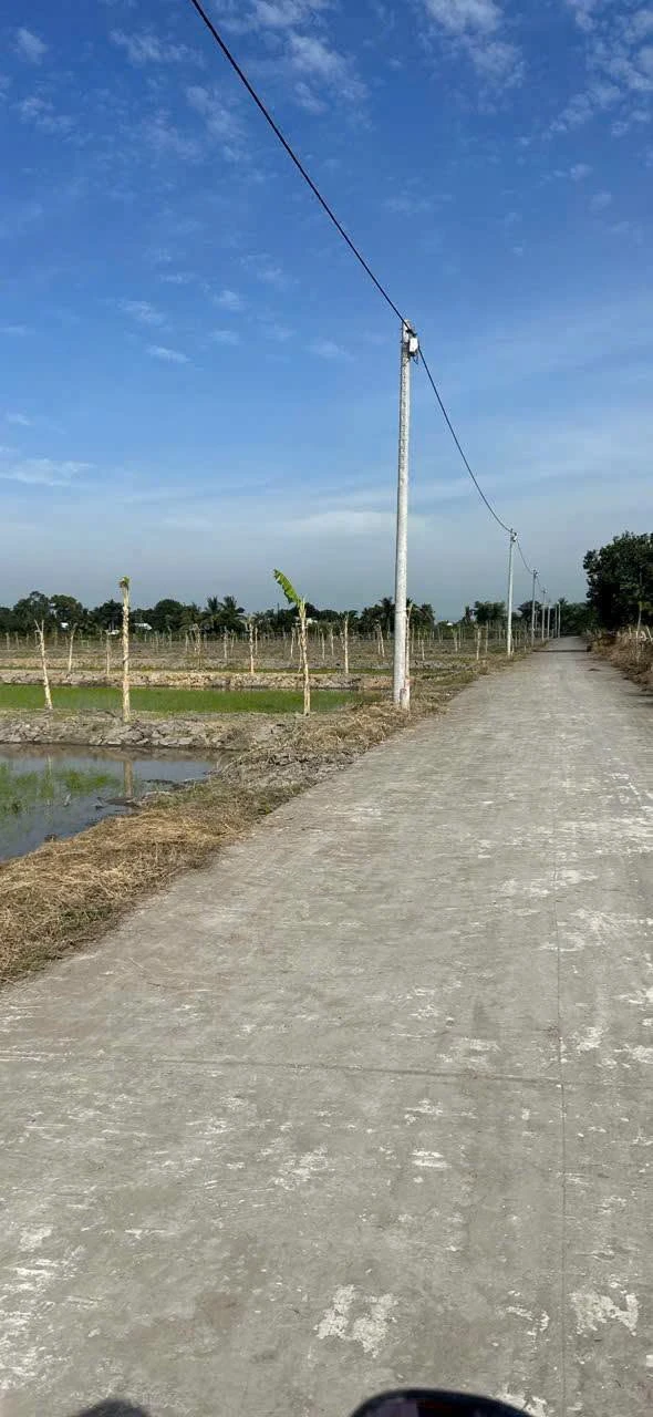 Bán 2081m2 đất Nhánh Kênh 5, Thạnh Lộc, An Giang - Ảnh 1