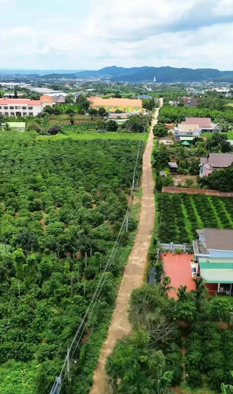 Bán đất Nam Ban Lâm Hà 1.000m² sổ hồng 1,45 tỷ