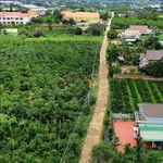 Bán đất Nam Ban Lâm Hà 1.000m² sổ hồng 1,45 tỷ - Ảnh thu nhỏ 1