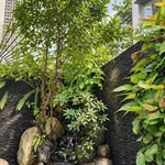 Bán nhà phố 6PN, 70m² ngang 7m, lô góc, 16 tỷ, gần Sân Bay - Ảnh thu nhỏ 5