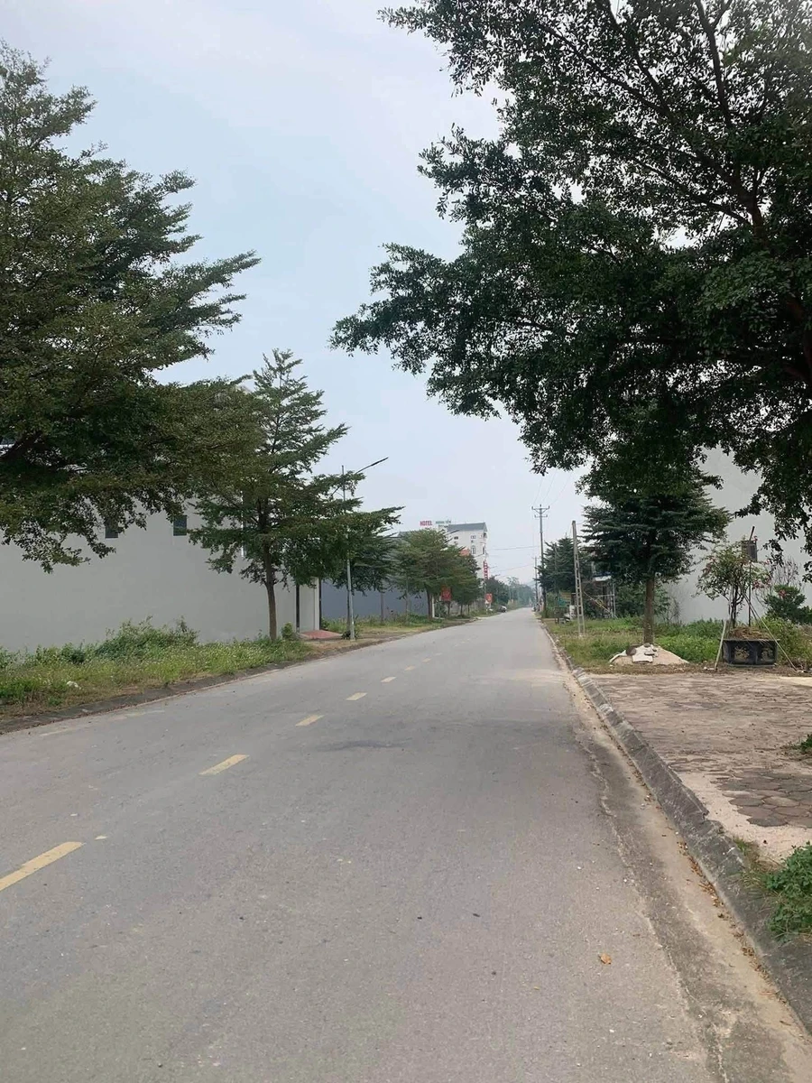 Bán lô đất 200 m² mặt tiền 10m Hải Phòng - Ảnh thu nhỏ 2