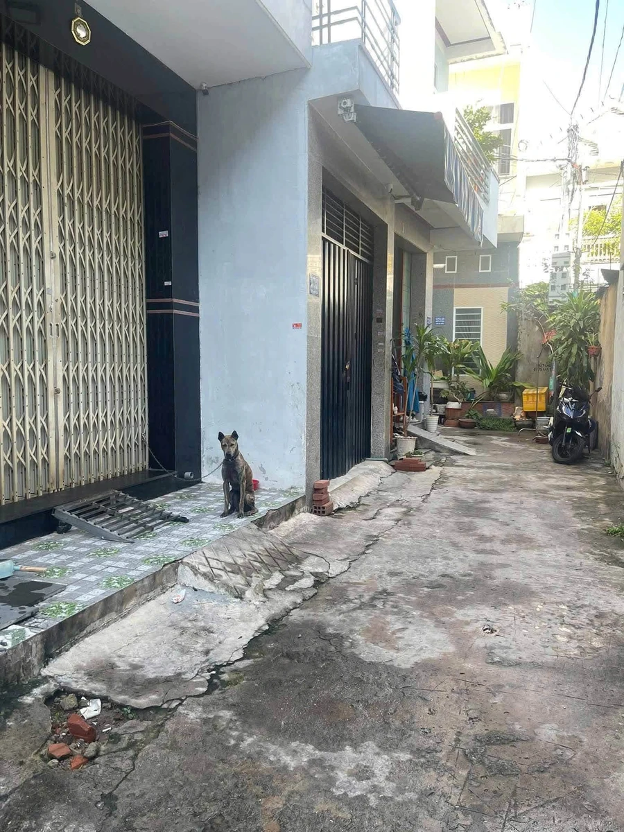 Bán nhà hẻm 3 tầng Phường Quang Trung Quy Nhơn, 45,4m2, 3 tỷ 250 triệu - Ảnh thu nhỏ 2