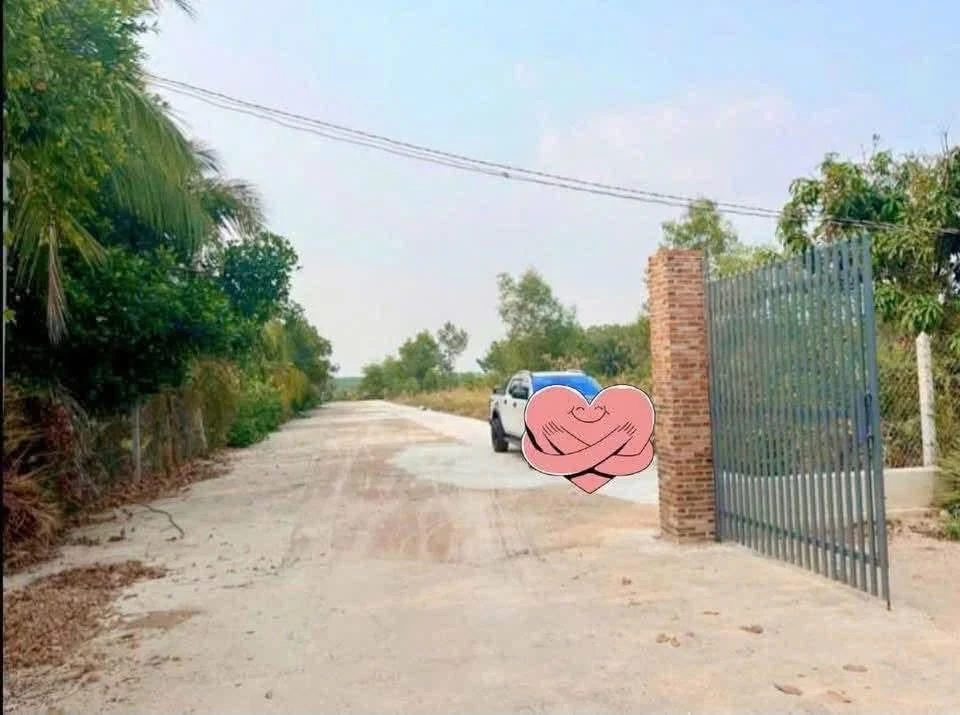 Bán lô đất 1.535m2 tặng nhà vườn An Điền 3 tỷ - Ảnh thu nhỏ 3