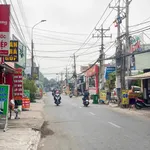Bán nhà 1 trệt 1 lầu 5 phòng ngủ 4x29m đường Lý Văn Sâm, Tam Hiệp, Biên Hòa - Ảnh thu nhỏ 2
