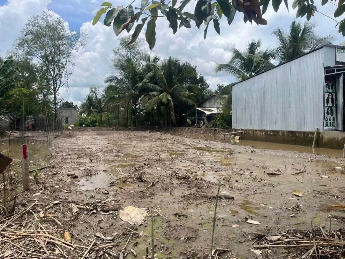 Bán đất 2 mặt tiền tỉnh lộ 910, 9x42m (378m²), xã Mỹ Thuận, Bình Tân, Vĩnh Long, giá 1,079 tỷ - Ảnh thu nhỏ 4