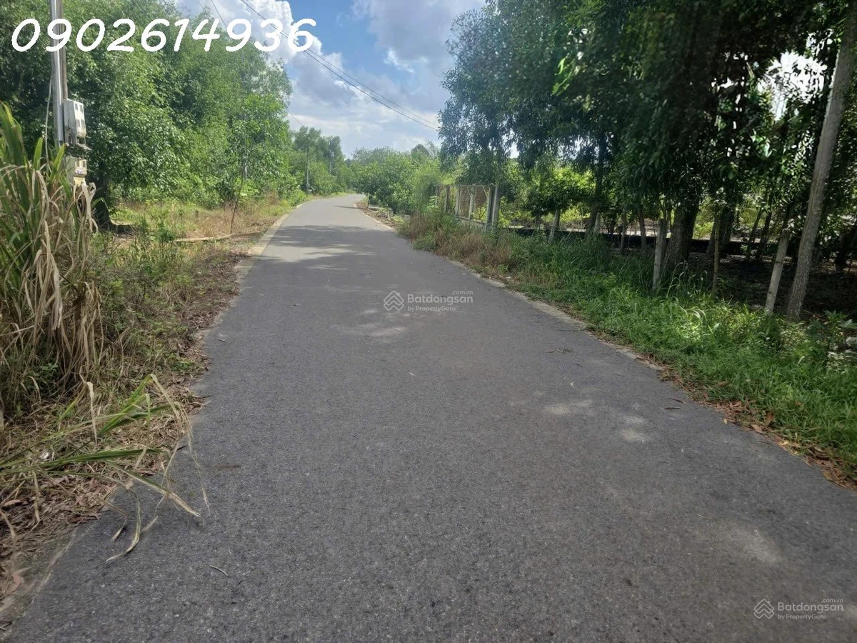 Bán đất đường Lò Rèn, Long Hòa, 24tỷ, 8000m2 view đẹp Hot! - Ảnh thu nhỏ 5