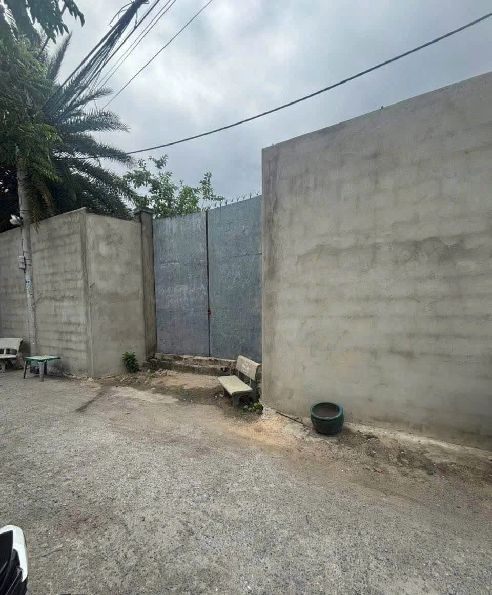 Bán lô đất Hóc Môn 104m2 (81m2 thổ cư) 3,5 tỷ - Ảnh 1