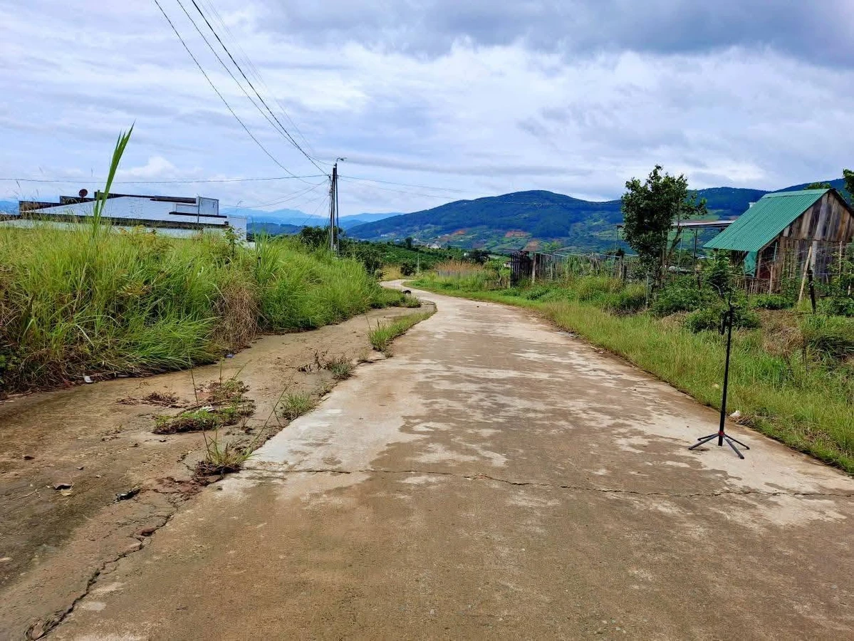 Bán đất nền 103m2 Đông Thanh, gần Đà Lạt 479 triệu - Ảnh thu nhỏ 4
