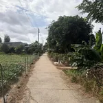 Bán đất cây lâu năm tại Cồn Bà Hoà Xã Bình Thạnh Huyện Châu Thành AG - Ảnh thu nhỏ 1