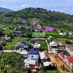 Bán đất 174m² Đà Lạt 599 triệu - Ảnh thu nhỏ 4