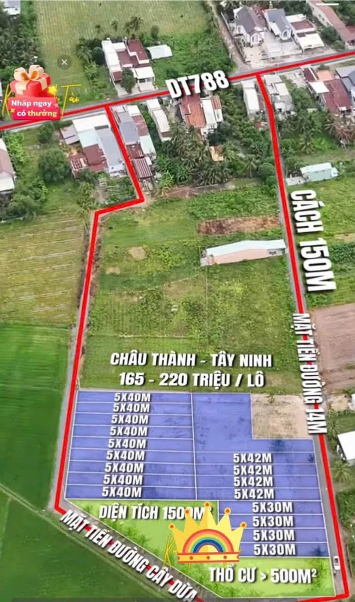 Bán đất 50m2 Châu Thành Tây Ninh chỉ 165 triệu - Ảnh thu nhỏ 2