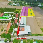 Bán đất nền 5x31m (155m²) Xã Đức Tân Tây Ninh gần trường học - Ảnh thu nhỏ 4