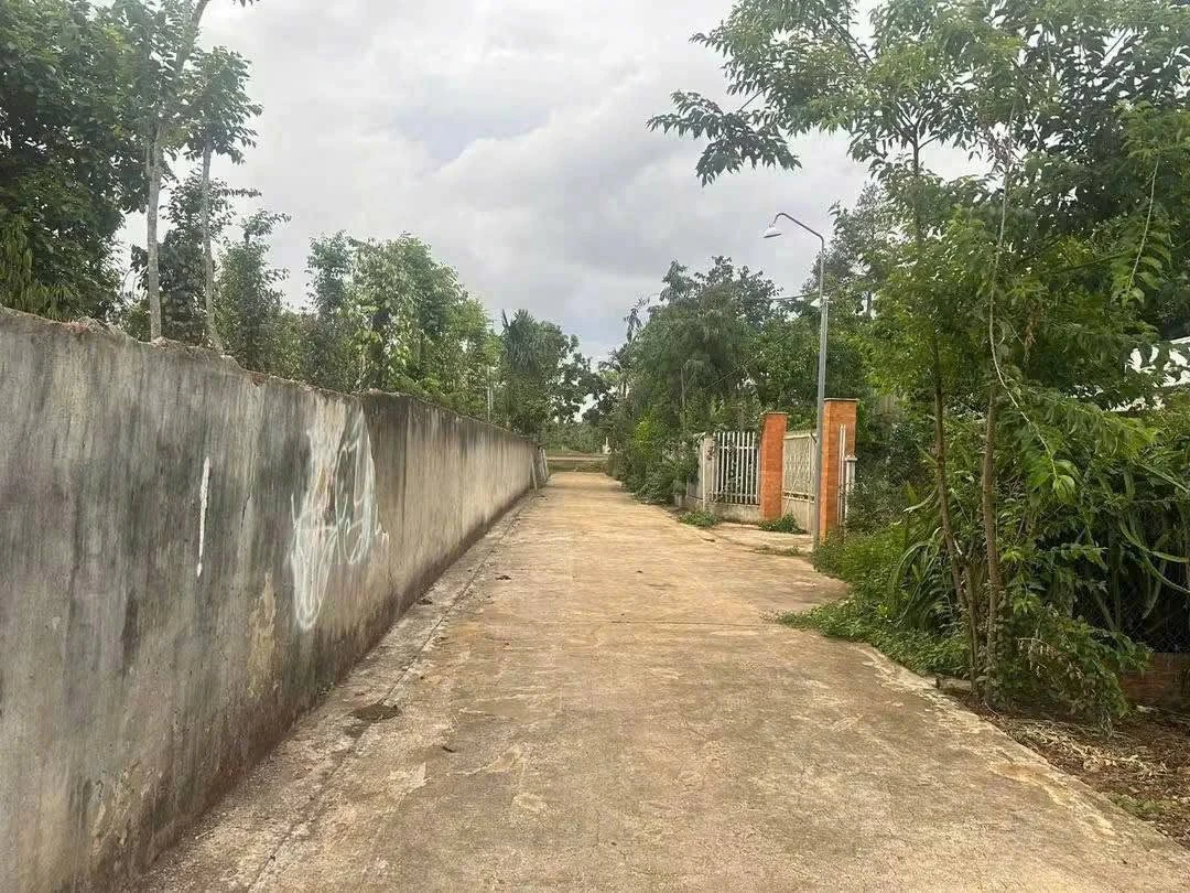 Bán lô đất hẻm cấp 1 đường Hồ Chí Minh, 67m2, giá 1,715 tỷ tại Cư Kuin - Ảnh thu nhỏ 3