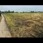 Bán đất 5x34 172m² xã Long Sơn Cần Đước 450 triệu - Ảnh thu nhỏ 3