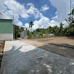 Bán đất 100m2 nhánh Huỳnh Thị Nở Cần Thơ 7xx triệu - Ảnh thu nhỏ 2