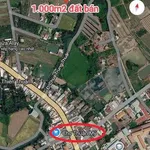 Bán đất nền mặt tiền 1.000m2 tại Bình Chánh - Ảnh thu nhỏ 2