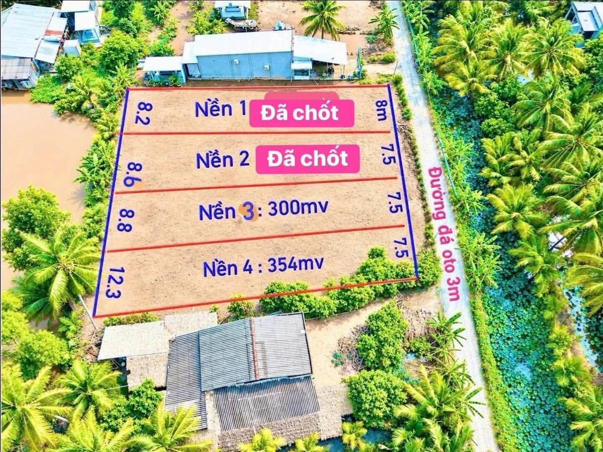 Bán nền đất 300m² xổ hồng sẵn Tỉnh 905 Cần Giờ - Ảnh thu nhỏ 3