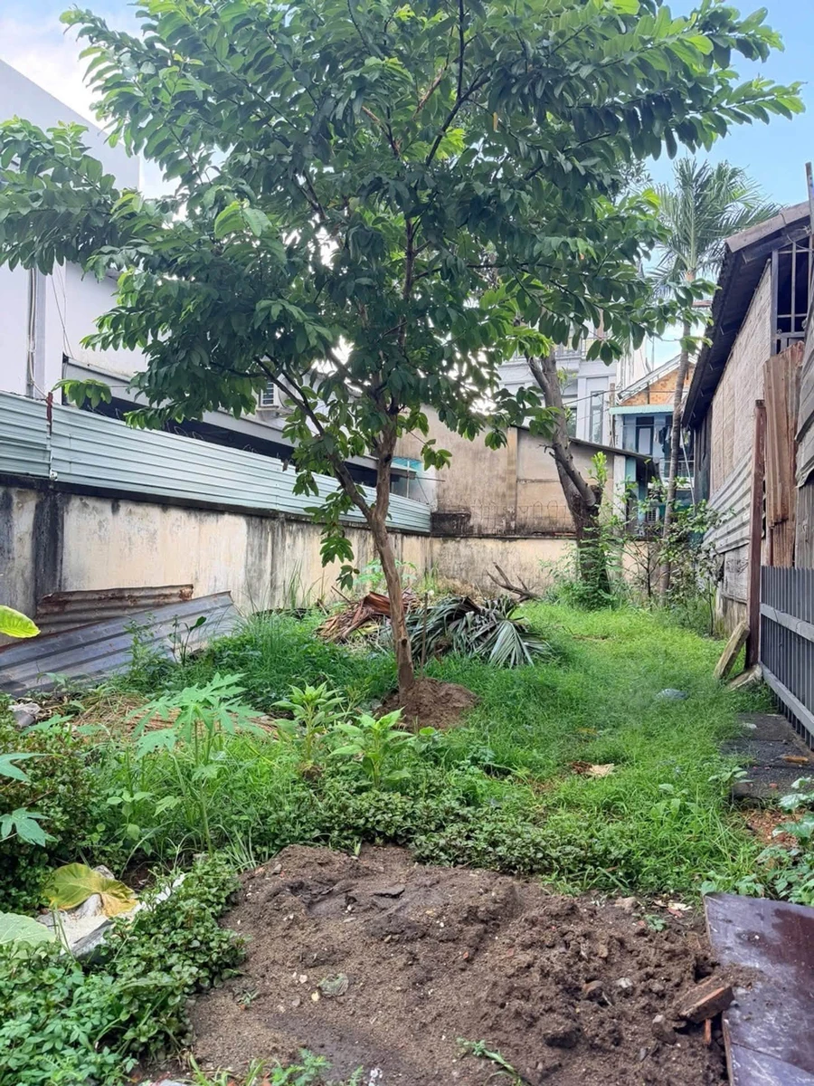 Bán đất vuông vức cạnh biệt thự 56.7m² Dương Đình Hội - Ảnh 1