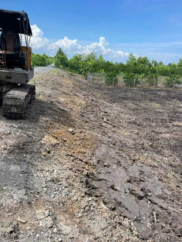 Bán đất vườn 500m² Thủ Thừa Long An 319 triệu