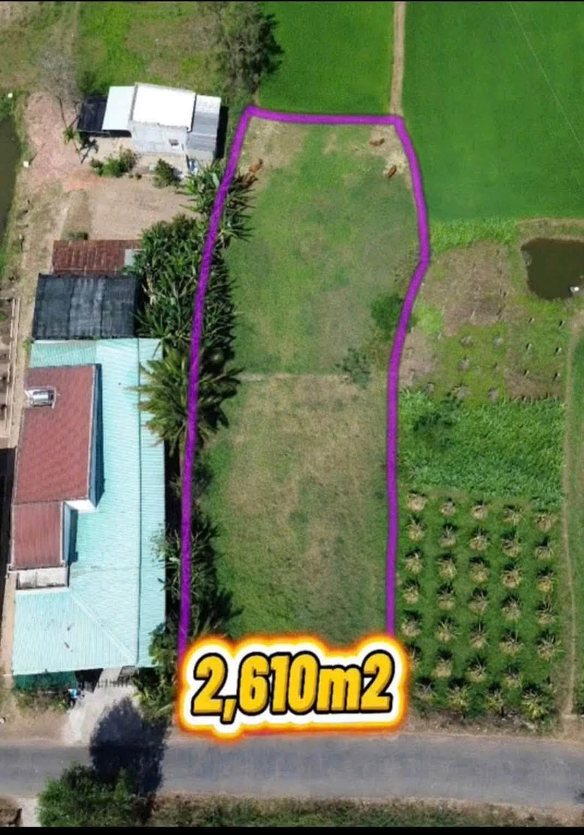 Bán đất nông nghiệp 2600m2 mặt tiền Nguyễn Văn Trỗi Ma Lâm - Ảnh 1