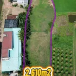 Bán đất nông nghiệp 2600m2 mặt tiền Nguyễn Văn Trỗi Ma Lâm - Ảnh thu nhỏ 1