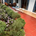 Bán nhà 3 phòng ngủ 200m² Đà Lạt 2.4 tỷ - Ảnh thu nhỏ 2