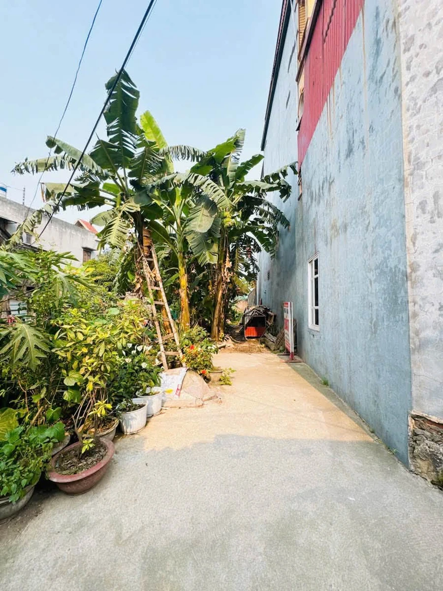 Bán lô đất 100m² mặt tiền 4m Lai Cách Hải Dương 1,8 tỷ - Ảnh thu nhỏ 2