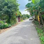 Bán lô đất thổ cư 5,5 x 38m đường nhựa gần ĐT744, Phú An, Bến Cát - Ảnh thu nhỏ 1