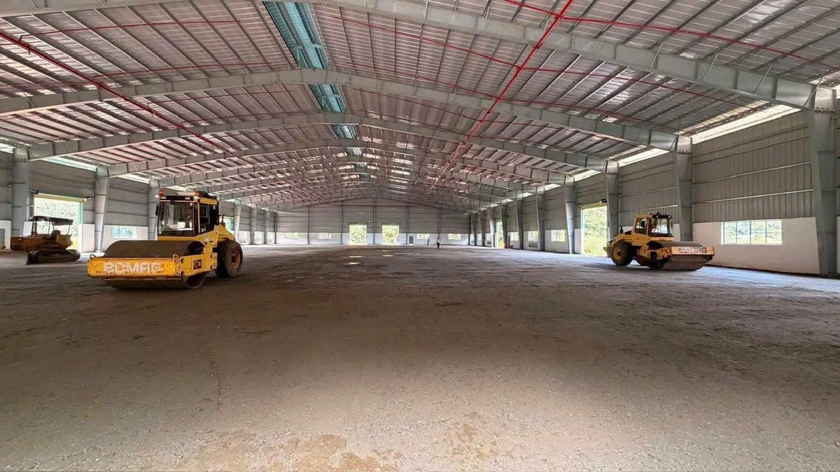 Bán hoặc cho thuê nhà xưởng 2ha đất 20.000m² tại Phú Giáo, Bình Dương - Ảnh 1