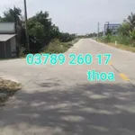 Bán đất 24x42m Thạnh Phú Bến Tre - Ảnh thu nhỏ 1