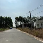 Bán đất 250m2 đường Minh Thành, Bình Dương, 450 triệu - Ảnh thu nhỏ 1