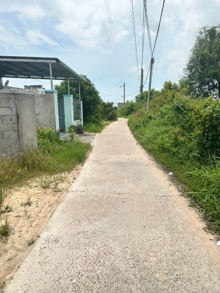 Bán nhanh lô đất thổ cư 100m2 đường bê tông ô tô tại Hàm Chính, Lâm Đồng, giá 450 triệu - Ảnh thu nhỏ 2