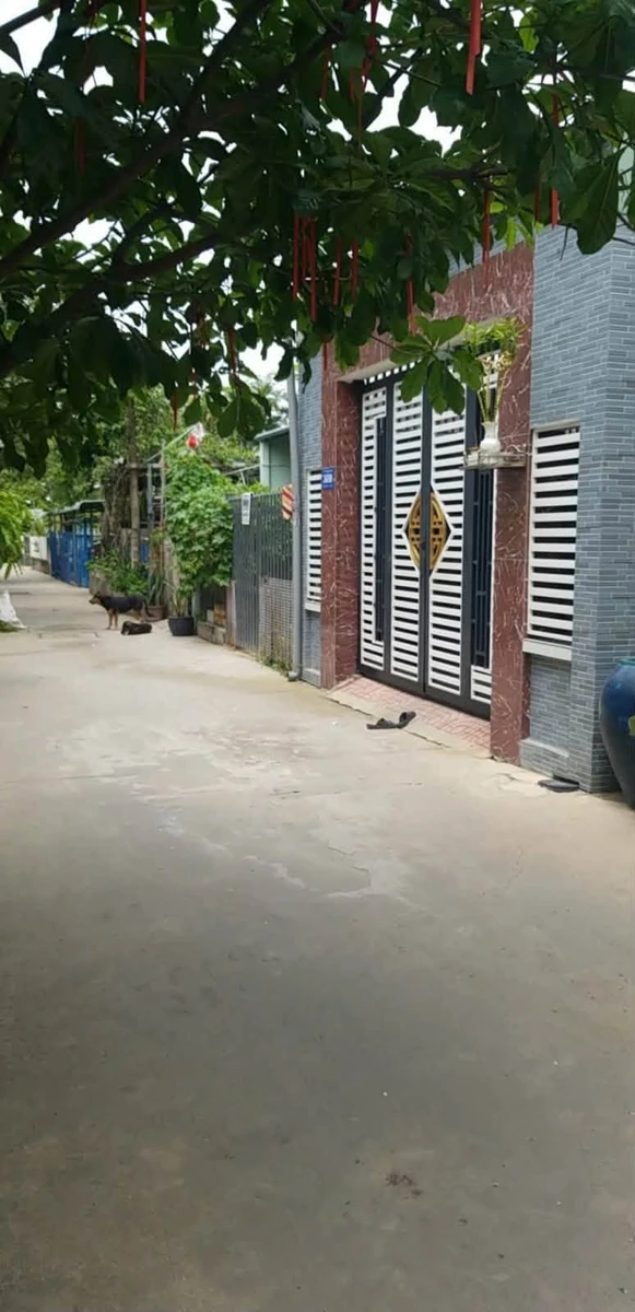 Bán đất vuông vức 100m² Lái Thiêu Bình Dương 3.4 tỷ - Ảnh thu nhỏ 2
