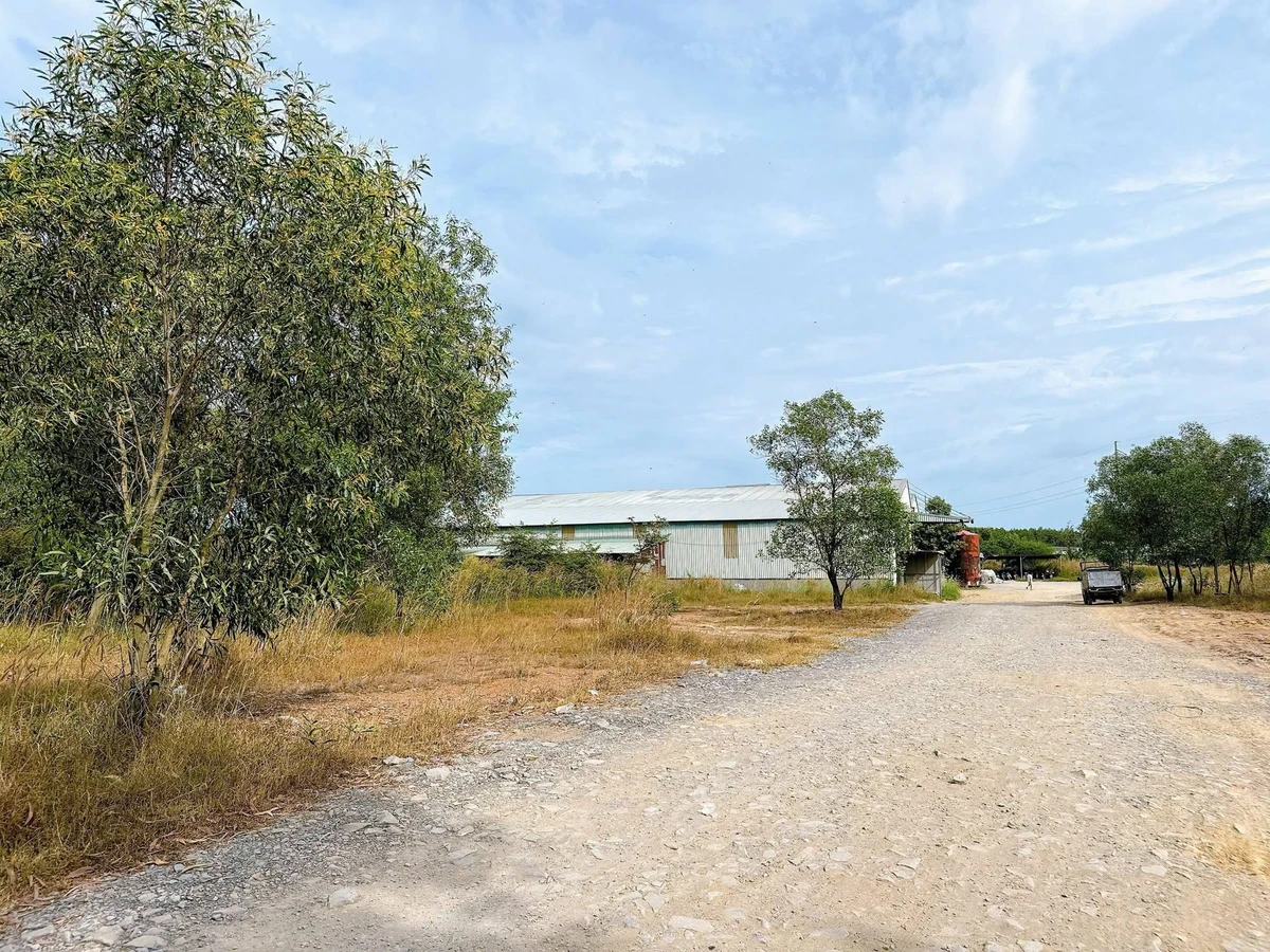 Bán đất 4.200m² QL1A Hố Nai Mới, giá 4,2 tỷ - Ảnh thu nhỏ 5