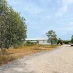 Bán đất 4.200m² QL1A Hố Nai Mới, giá 4,2 tỷ - Ảnh thu nhỏ 5